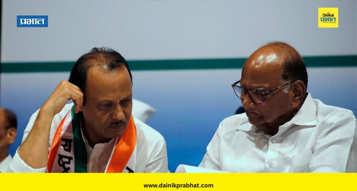 NCP Merger News : दोन्ही राष्ट्रवादीचं विलीनीकरण झालं तर काय असेल शरद पवारांची भूमिका?