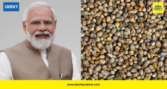 Health & Fitness: बाजरी का मानली जाते सुपरफूड? ‘मन की बात’मध्ये पंतप्रधान मोदींनी सांगितले फायदे