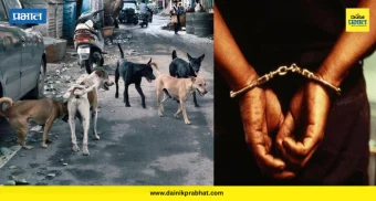 Telangana : १०० कुत्र्यांना विष घालणे पडले महागात; तेलंगणात तीन जणांविरुद्ध गुन्हा दाखल