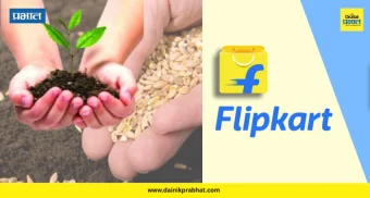 Agriculture : घरबसल्या करा बियाण्यांची खरेदी.! 'Flipkart'वर मिळत आहे अगदी स्वस्त दरात बियाणे, ऑफर पाहा...
