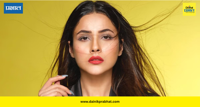 Shehnaaz Gill: शिक्षण सोडलं, घरातून बाहेर पडली आणि स्टार बनली; ‘पंजाबची कॅटरीना’ शहनाज गिलचा संघर्षमय प्रवास