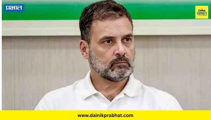 Rahul Gandhi : राहुल गांधींचं नागरिकत्व रद्द होणार? न्यायालयाने स्पष्टच सांगितलं…
