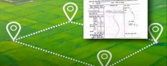 7/12 Utara Fraud : सातबाऱ्याची 'जादूगिरी' भोवणार! १५२ बड्या महसूल अधिकाऱ्यांवर कारवाईचा बडगा..वाचा सविस्तर