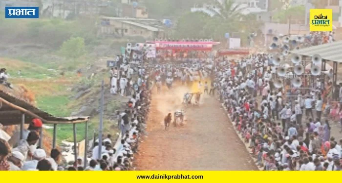 Belhe Yatra 2026 : ४३० गाडे अन् सेकंदांची लढत! बेल्हे यात्रेत ‘घाटाचा राजा’ कोण ठरलं? वाचा सविस्तर