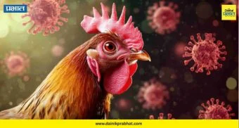 Bird Flu : देशात पुन्हा बर्ड फ्लूची एन्ट्री; केंद्र सरकारकडून सतर्कतेचा इशारा