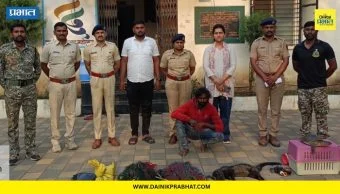 Shirur News : वन विभागाची धडक कारवाई! उदमांजर व मऊ पाठीचे कासव शिकार प्रकरणी आरोपीस अटक