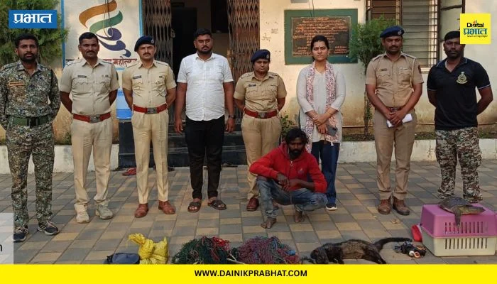 Shirur News : वन विभागाची धडक कारवाई! उदमांजर व मऊ पाठीचे कासव शिकार प्रकरणी आरोपीस अटक