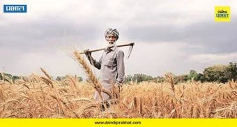 Rural Migration : घामाचा दाम की केवळ कर्जाचा डोंगर? जुन्नरच्या शेतकरी पुत्राने शेतीकडे फिरवली पाठ