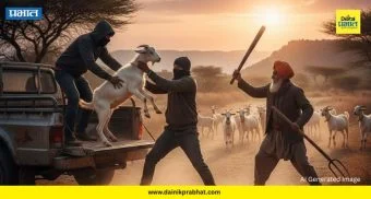 Indapur Crime : वडापुरीत दहशतीची रात्र ! शेळी मालकावर जीवघेणा हल्ला; ४ जनावरे केले लंपास