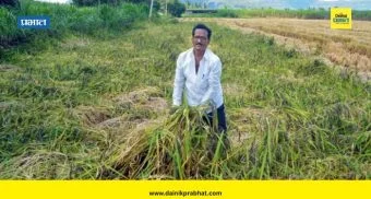 Unseasonal Rain : राज्यात अवकाळी पावसाने लावली हजेरी; पिकांवर परिणाम होण्याची शक्यता