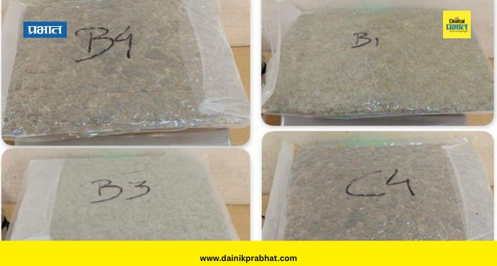 Mumbai News : मुंबईमध्ये कस्टम विभागाची मोठी कारवाई; कोट्यवधींचे अमली पदार्थ जप्त