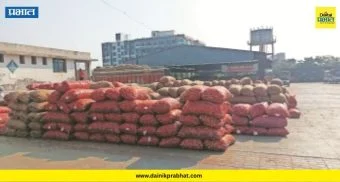 Onion Crisis : शेतकरी कर्जाच्या विळख्यात! जुन्नर तालुक्यात कांदा उत्पादक हतबल; उत्पादन घटलं अन् बाजारभावही कोसळले