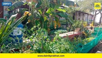 School Gardening Competition: दुष्काळी भागातील शाळेची हिरवळ कामगिरी; सलग दोन वर्षे जिल्हास्तरीय परसबाग स्पर्धेत यश
