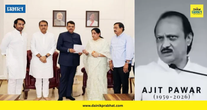 Sunetra Pawar : सुनेत्रा पवारांसह राष्ट्रवादी नेते फडणवीसांच्या भेटीला; विमान अपघाताची सीबीआय चौकशीची मागणी