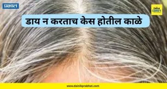 Hair Health: आता डाय न करताच केस पुन्हा होतील काळे! शास्त्रज्ञांनी शोधला अत्यंत सोपा मार्ग