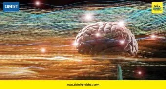 Natural Brain Boost: स्मरणशक्ती नैसर्गिकरित्या वाढवायची आहे का? जाणून घ्या ५ जपानी उपाय!