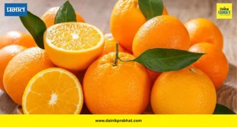 Orange Benefits: रोज एक संत्रे खाल तर शरीर म्हणेल धन्यवाद! जाणून घ्या '५' जबरदस्त फायदे