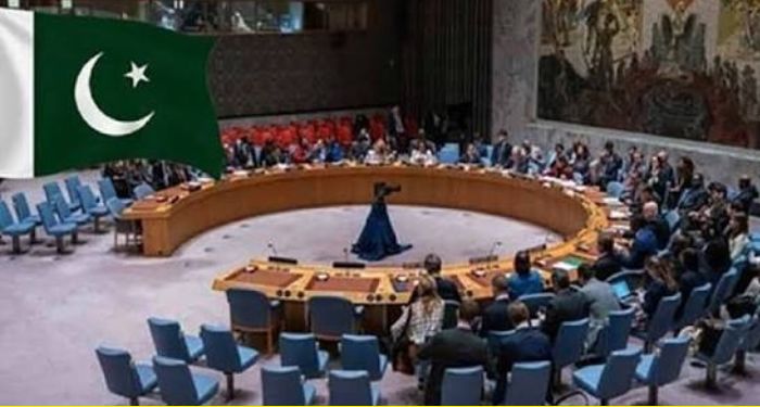Pak on UNSC: