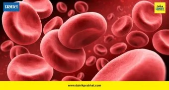 Platelets: प्लेटलेट्स कमी-जास्त होणे धोकादायक; डेंग्यू-हिवतापात घ्या योग्य काळजी