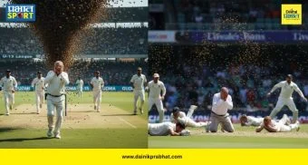 Cricket Umpire Dies : क्रिकेटच्या मैदानात धक्कादायक घटना! मधमाशांच्या भीषण हल्ल्यात ६५ वर्षीय पंचांचा मृत्यू