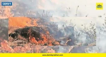 Ambegaon forest fire : हिरवेगार डोंगर झाले काळेकुट्ट! वणव्यांमुळे आंबेगावची निसर्गसंपदा धोक्यात; पाहा भीषण वास्तव