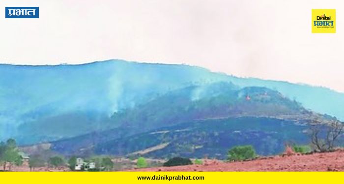 Bhor Forest Fire : भोरचे डोंगर काळेकुट्ट! वणव्याच्या आगीत वन्यप्राण्यांचा कोळसा; निसर्गप्रेमींकडून संताप व्यक्त