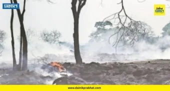 Chemical Smoke : खोपोलीतील 'त्या' भंगार दुकानाच्या आगीने उडवली झोप; नागरिकांच्या आरोग्याचा प्रश्न ऐरणीवर