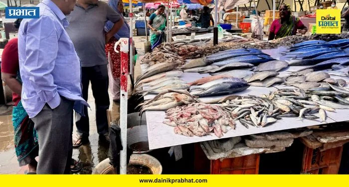 Fish Market Rates : मासेप्रेमींच्या खिशाला कात्री! समुद्रातील आवक निम्म्यावर; पाहा आजचे ताजे दर