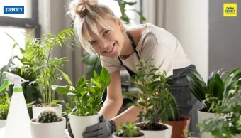 Summer Plant Care: कडक उन्हातही तुमची रोपं राहतील हिरवीगार; फक्त लक्षात ठेवा या ५ गोष्टी