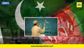 Stray Dog News : कुत्र्यांमध्ये लांडग्यांचे अंश? आळेफाट्यातील भटक्या कुत्र्यांच्या आक्रमकतेने शास्त्रज्ञही चक्रावले