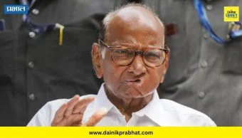 Sharad Pawar : शरद पवारांच्या नावाची घोषणा पुन्हा राज्यसभेसाठी का करण्यात आली? ही आहेत चार मोठी कारणं वाचा सविस्तर...
