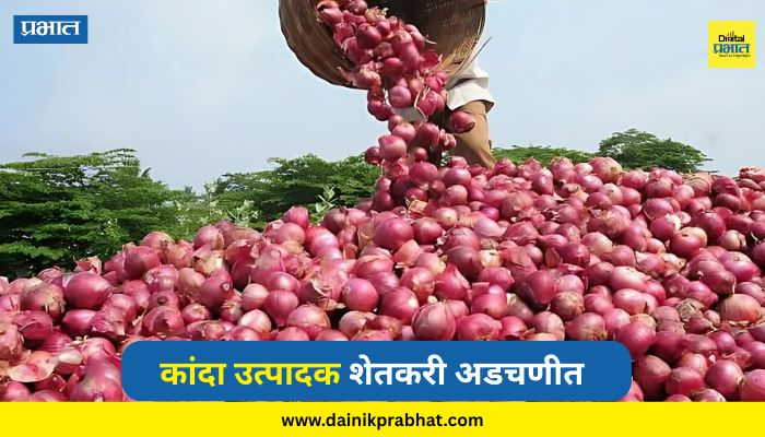 Onion Price crash : कांदा उत्पादक शेतकरी अडचणीत; बाजार हस्तक्षेप योजना लागू करण्याची राज्य सरकारकडे मागणी, अन्यथा...