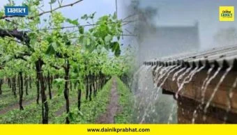 Weather Alert : राज्यभरात वादळी वाऱ्यासह पाऊस अन् गारपिटीची शक्यता; कृषी विभागाकडून शेतकऱ्यांना हे महत्वाचे आवाहन