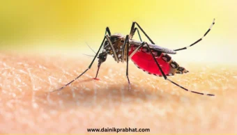 Aneet Padda : मधुबालाच्या बायोपिकमध्ये 'सैयारा' फेम अभिनेत्री? इंडस्ट्री सोर्सकडून खुलासा