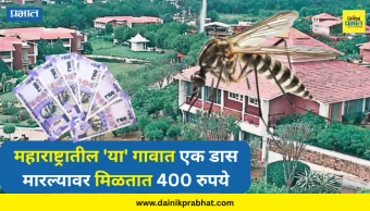 Maharashtra Village : महाराष्ट्रातील 'या' गावात एक डास मारल्यावर मिळतात 400 रुपये; एकेकाळी जिथं खायला नव्हतं, आज तिथले लोक बनले कोट्यवधी