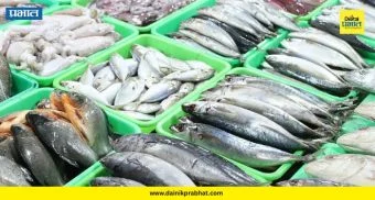 Pune News : युद्धाचा अजब परिणाम! युद्धामुळे 'हा' दुर्मिळ मासा प्रथमच पुण्याच्या बाजारात; किंमत वाचून थक्क व्हाल