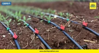 Satara Crime : दुष्काळात तेरावा महिना! चोरट्यांच्या नव्या आता 'या' वस्तू; खटावमधील शेतकरी संतप्त