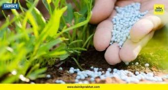 Fertilizer industry crisis: खत उद्योगाला युद्धाचा फटका; गॅसअभावी अनेक कारखान्यांनी घेतली 'मेंटेनन्स सुटी'