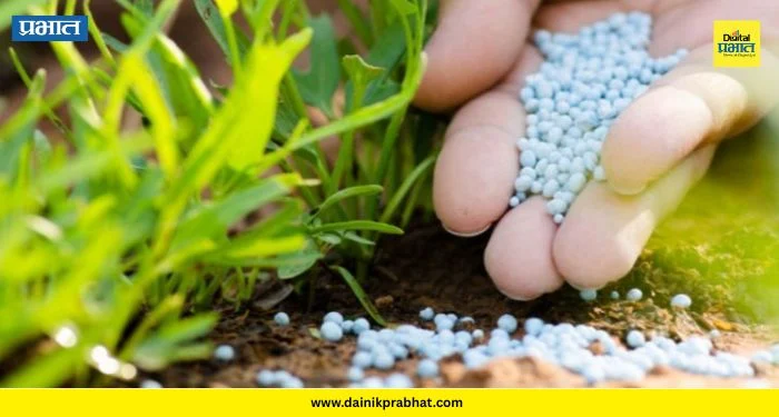 Agriculture News : सावधान! रासायनिक खतांच्या अतिरेकाने तुमची शेती ‘नापीक’ तर होत नाहीये ना? वाचा धक्कादायक वास्तव