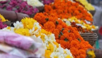 Flower Market : झेंडू, मोगरा, गुलछडी अन् शेवंती फुलली; गुढीपाडव्यामुळे आवक वाढली
