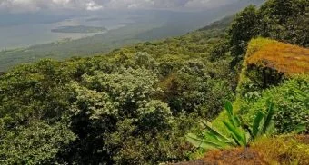 Ghodegaon Forest : सांबर, भेकर अन् तरस...घोडेगाव वनपरिक्षेत्रात वन्यप्राणी प्रगणना; विविध प्राणी-पक्ष्यांची नोंद