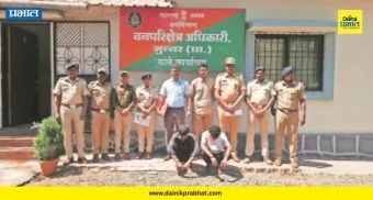 Junnar News : वणवा लावताना रंगेहात पकडले! जुन्नरच्या जंगलात वनविभागाचा थरारक पाठलाग..पहा काय घडलं?