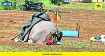 Gudi on Tent : पालावरची गुढी! स्वतःचं घर नसूनही मेंढपाळ बांधवांचा अनोखा उत्साह; पाहून डोळे दिपतील