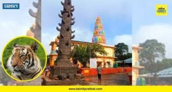 Kalamma Devi Yatra : सह्याद्रीच्या कुशीत 'बाजी'चा थरार; काळम्मादेवीच्या यात्रेला वाघ येतोच, अख्यायिकेला मिळाला पुरावा..पाहा