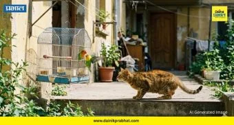 Pune Crime : पुणे तेथे काय उणे! पोपटाचा आणि मांजराचा वाद थेट पोलीस ठाण्यात; पाहा नेमकं काय घडलं?