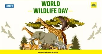 विशेष : ...तरच वन्यजीव वाचतील!