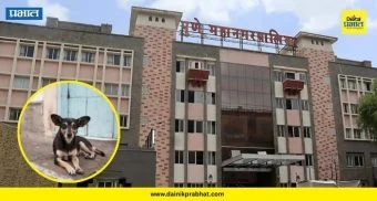 PMC News : पुणे महापालिकेचे 'मिशन अन्नदा'! आता भटक्या श्वानांना मिळणार जेवण; १ कोटींची मोठी तरतूद..कारण काय?