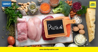 Protein Requirement: तुमच्या वजनानुसार किती प्रोटीन घ्यावे? अभ्यासात समोर आले महत्त्वाचे गणित