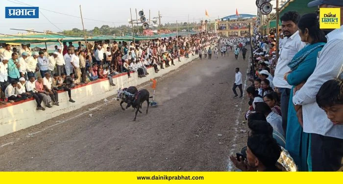 Shirur: पिंपरखेडच्या तुकाईदेवी यात्रेत बैलगाडा शर्यतीचा थरार; 180 बैलगाड्यांच्या स्पर्धेत दाभाडेंनी पटकावला ‘घाटाचा राजा’ किताब