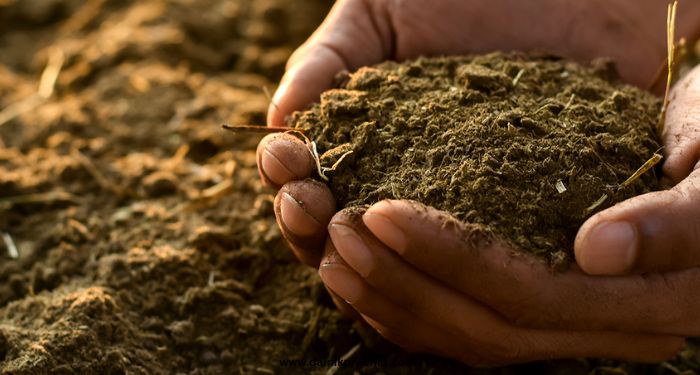 Soil degradation